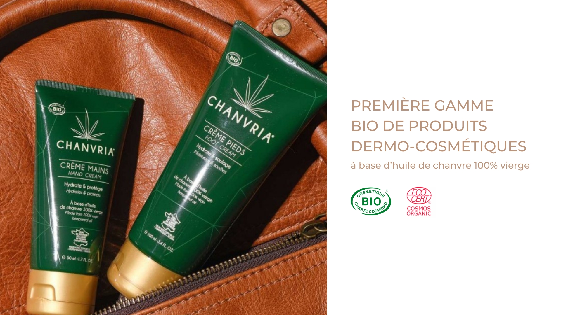 Première gamme de produits dermo-cosmétiques à base d'huile de chanvre